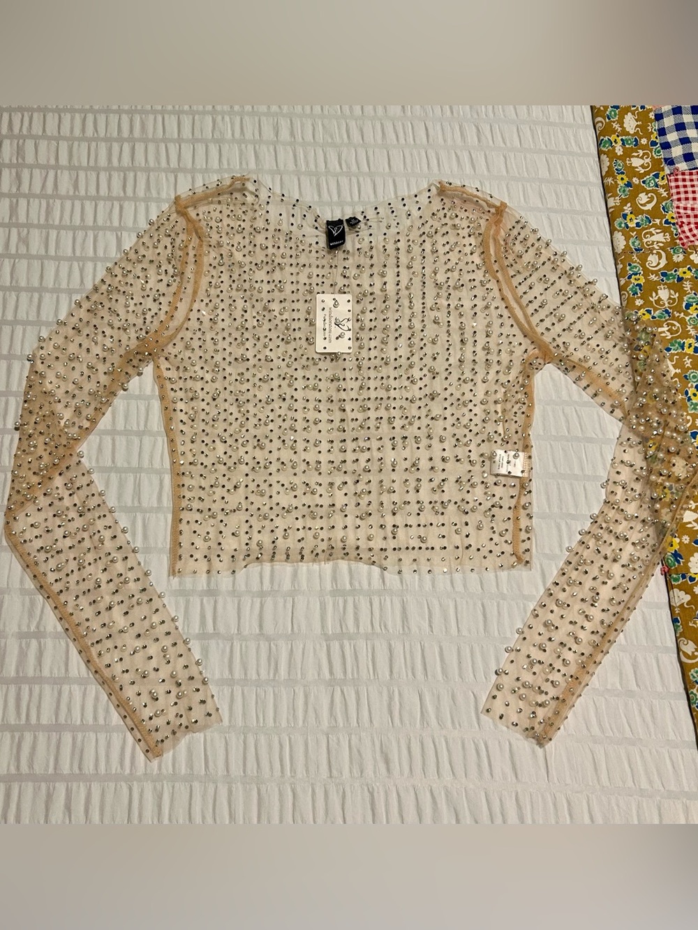 Windsor Nude Sheer Long-Sleeve Crystal Embellished Crop Top